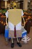Sponge Goose Image